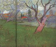 Vincent Van Gogh View of Arles with Trees in Blossom (nn04) USA oil painting reproduction